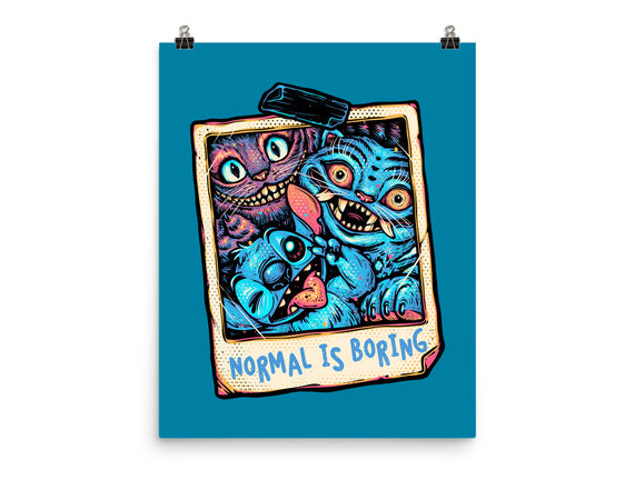 Normal Is Super Boring