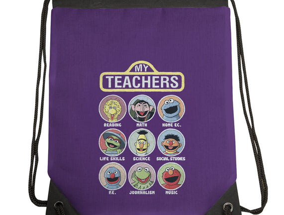 My Teachers Were Puppets
