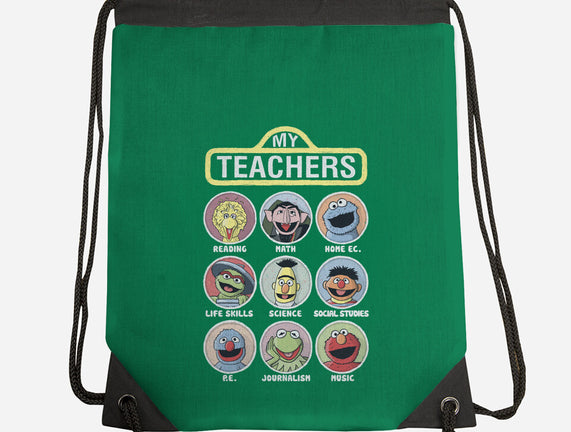 My Teachers Were Puppets