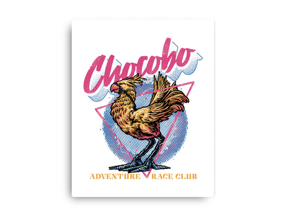 Adventure Racing Club