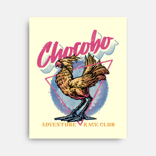 Adventure Racing Club-None-Stretched-Canvas-glitchygorilla