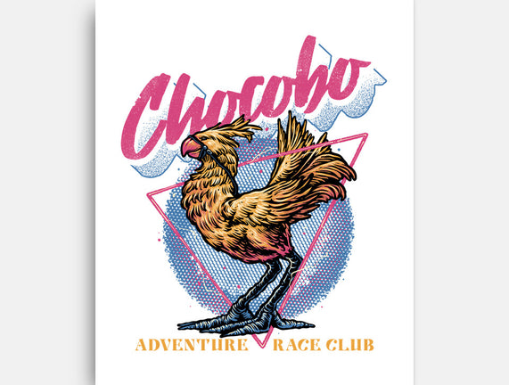Adventure Racing Club