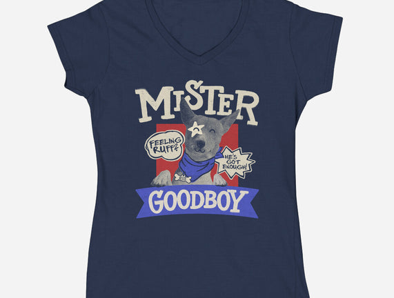Mister Goodboy