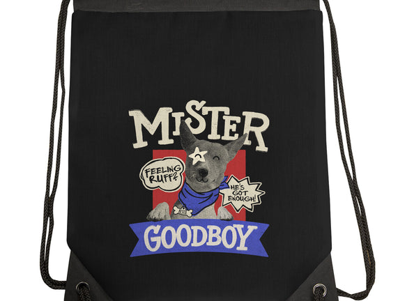 Mister Goodboy