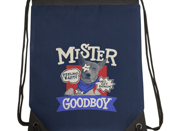 Mister Goodboy