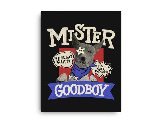 Mister Goodboy