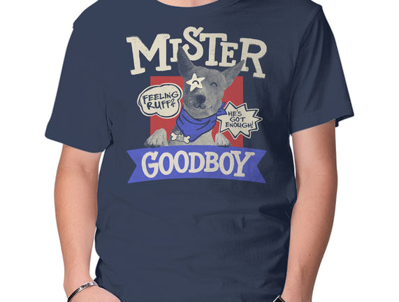 Mister Goodboy