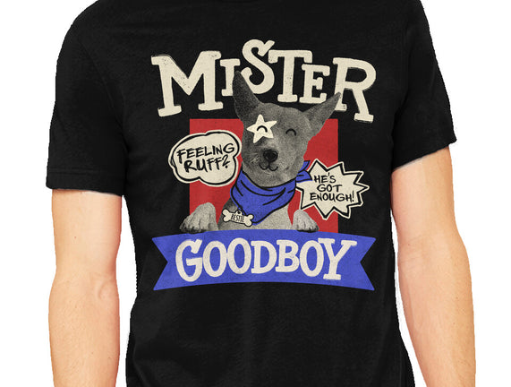 Mister Goodboy