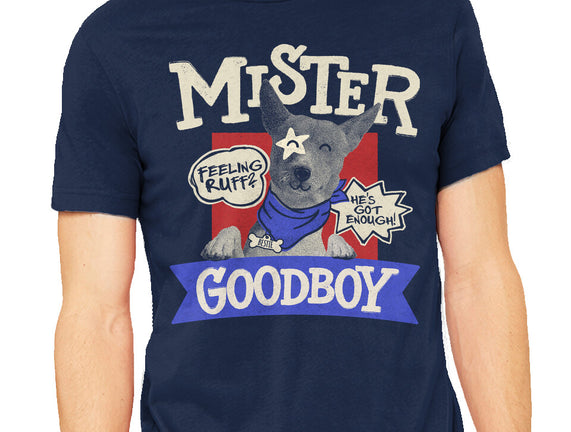 Mister Goodboy