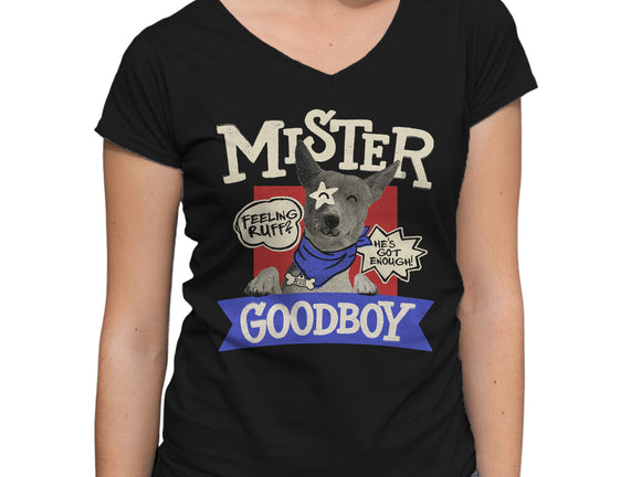 Mister Goodboy