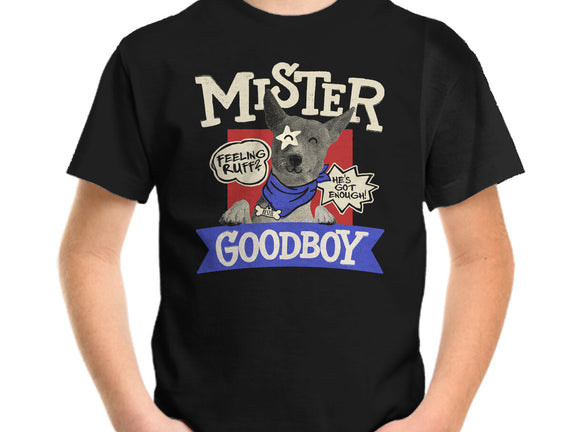 Mister Goodboy