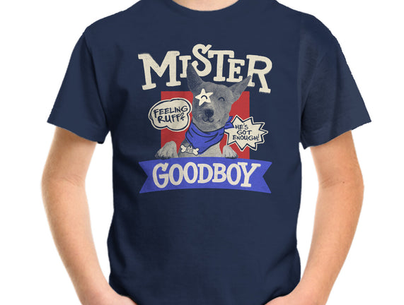 Mister Goodboy