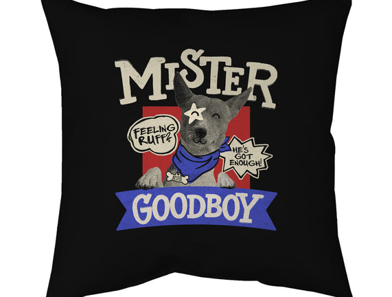 Mister Goodboy