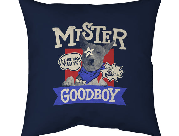 Mister Goodboy