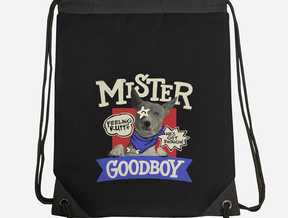 Mister Goodboy