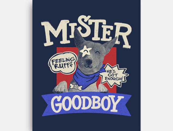 Mister Goodboy