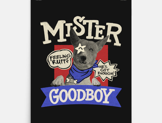 Mister Goodboy