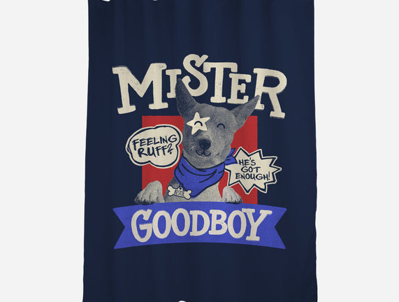 Mister Goodboy