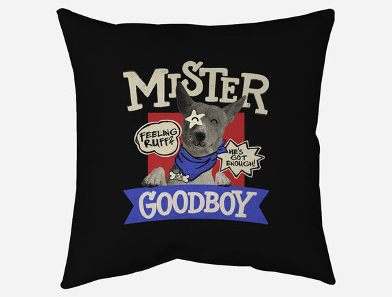 Mister Goodboy