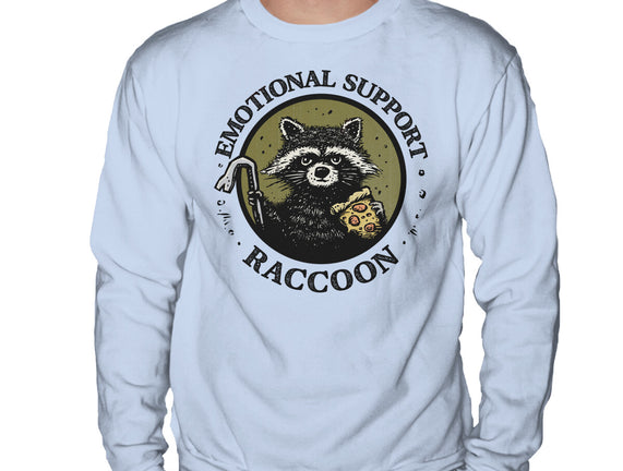 Emotional Support Raccoon