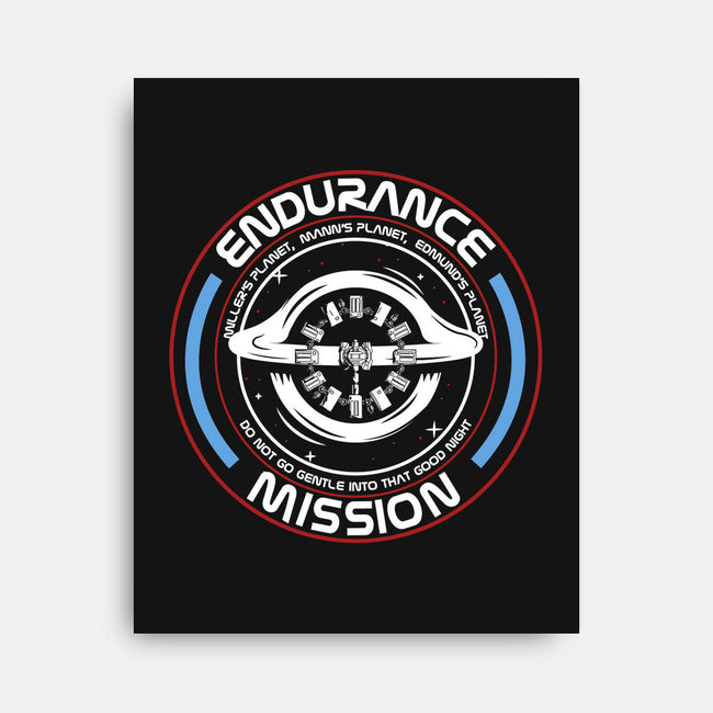 Endurance-None-Stretched-Canvas-piercek26