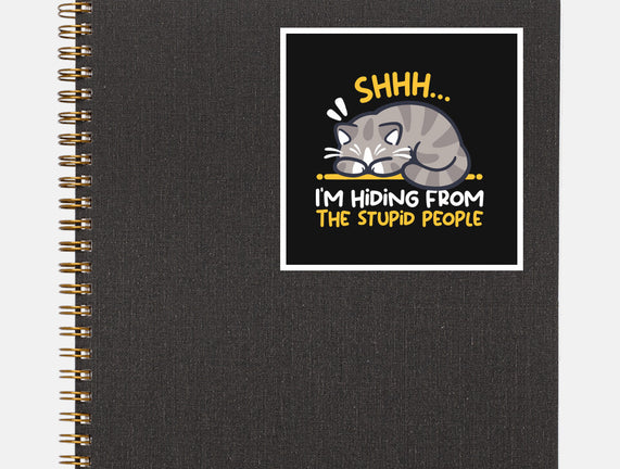 Hiding From The Stupid People