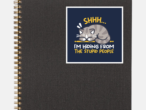 Hiding From The Stupid People