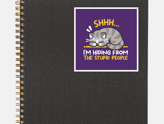 Hiding From The Stupid People