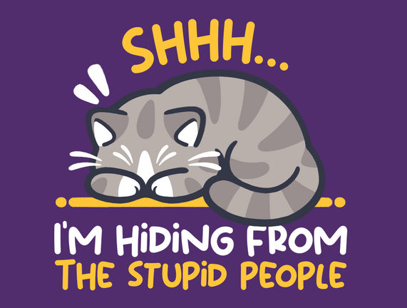 Hiding From The Stupid People