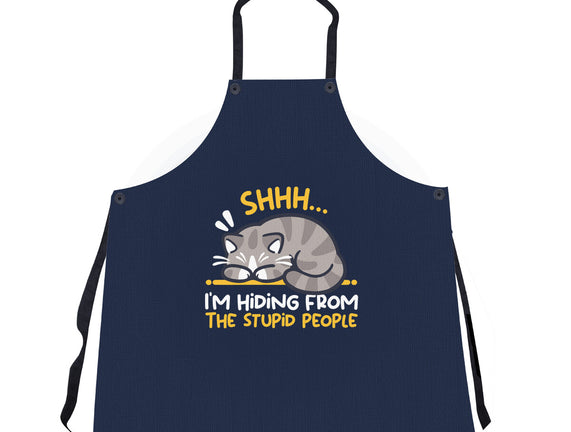 Hiding From The Stupid People