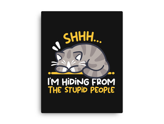 Hiding From The Stupid People