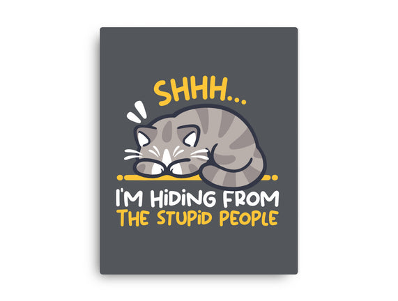 Hiding From The Stupid People