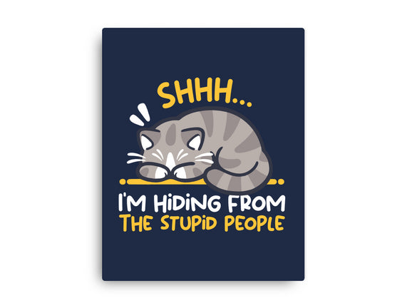 Hiding From The Stupid People