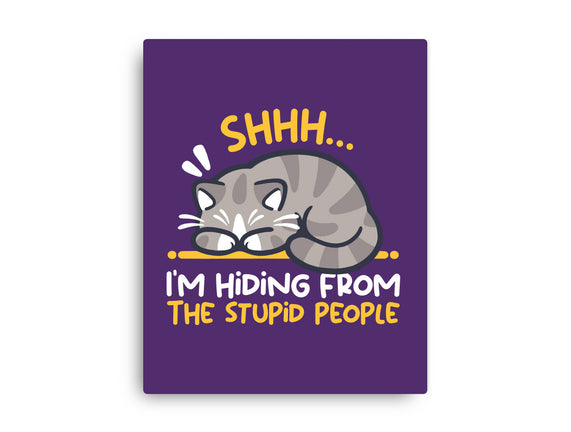 Hiding From The Stupid People