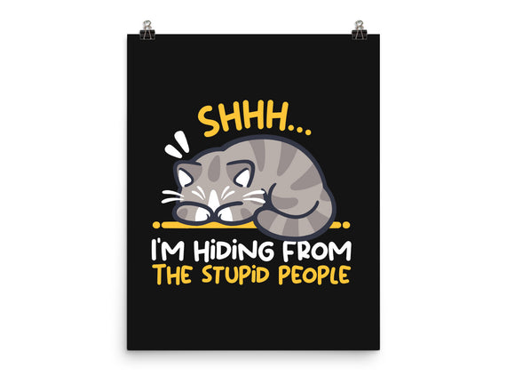Hiding From The Stupid People
