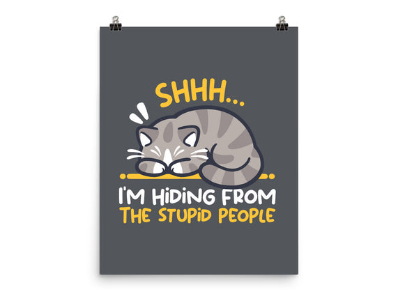 Hiding From The Stupid People