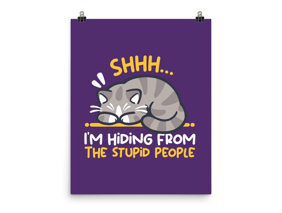 Hiding From The Stupid People