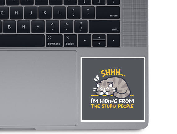 Hiding From The Stupid People