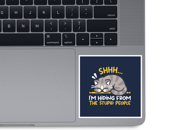 Hiding From The Stupid People