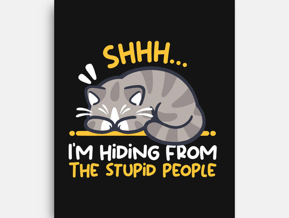 Hiding From The Stupid People