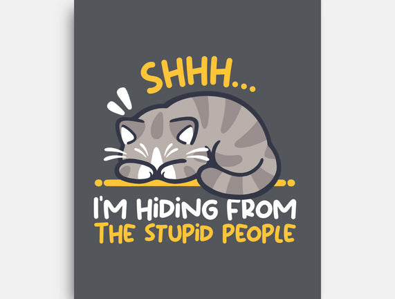 Hiding From The Stupid People