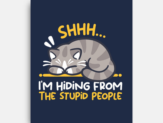 Hiding From The Stupid People