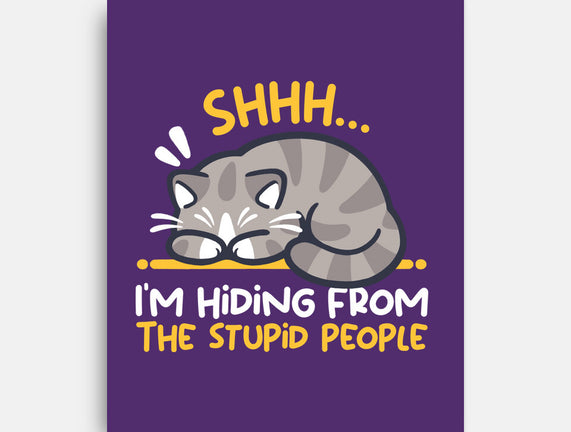 Hiding From The Stupid People