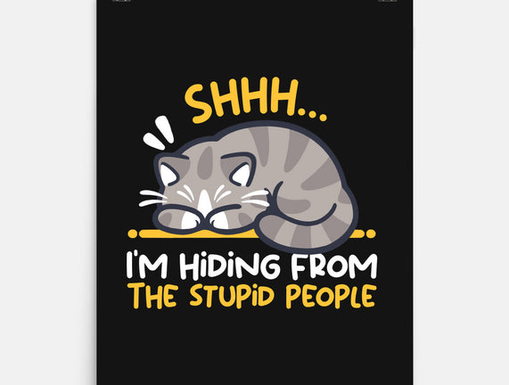 Hiding From The Stupid People