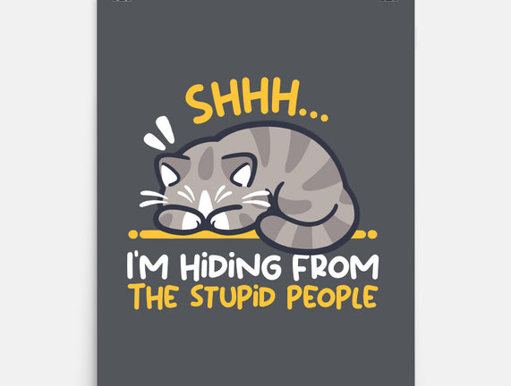 Hiding From The Stupid People