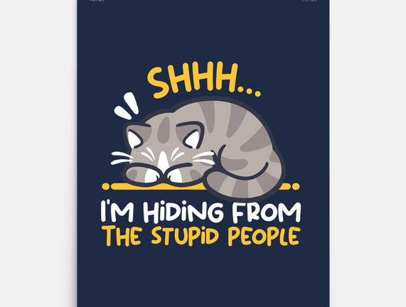 Hiding From The Stupid People