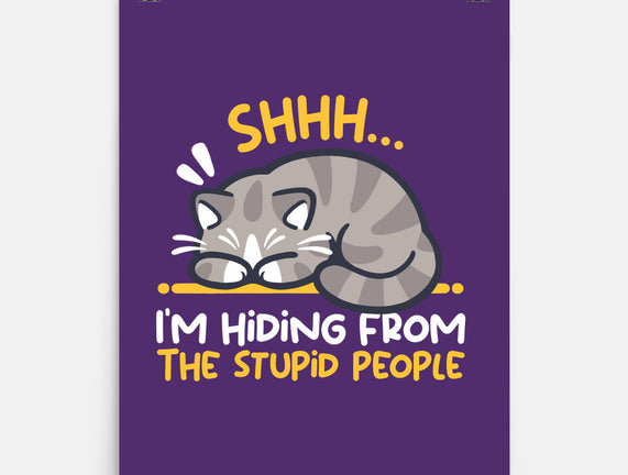 Hiding From The Stupid People