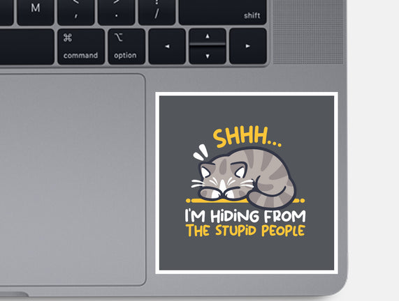 Hiding From The Stupid People