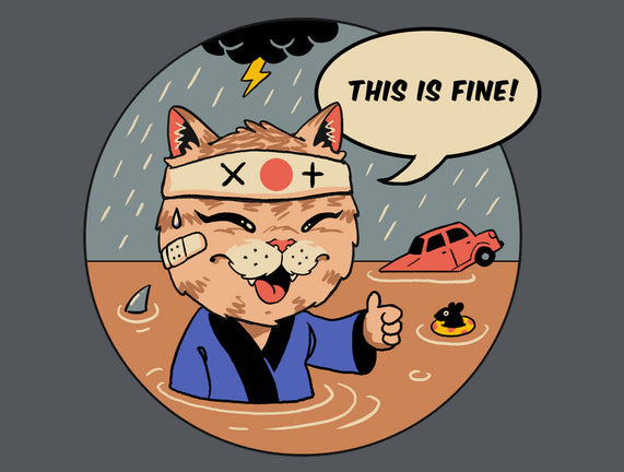 This Is Fine Meowster