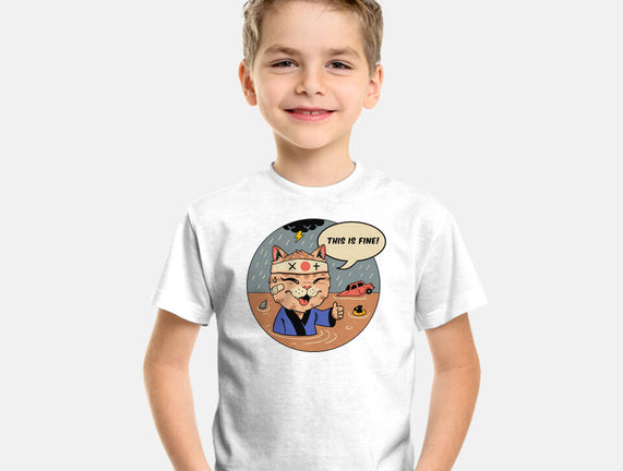 This Is Fine Meowster